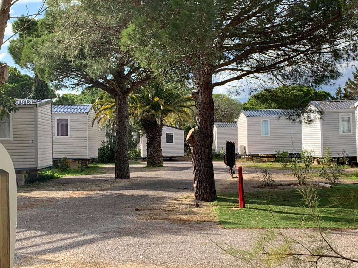 Mobilhome Marestang Plage 卡内 外观 照片